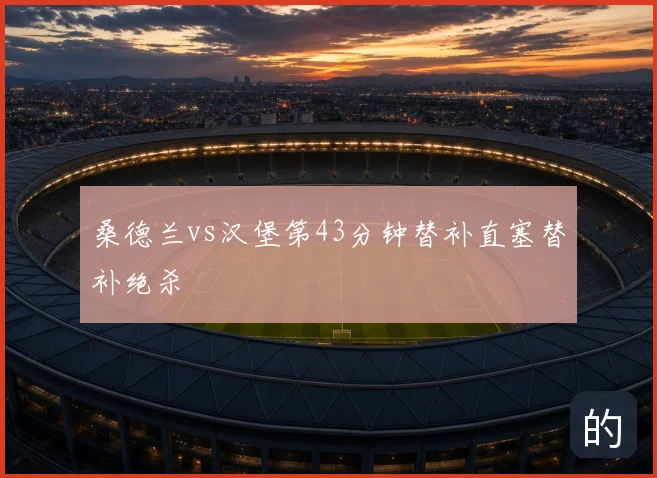 桑德兰vs汉堡第43分钟替补直塞替补绝杀
